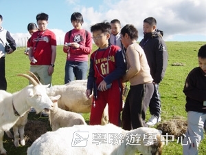 野外探索英語遊學課程,學聯遊學團