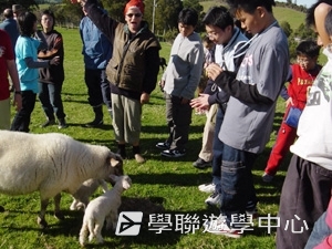 野外探索英語遊學課程,學聯遊學團
