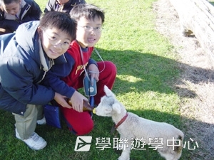 野外探索英語遊學課程,學聯遊學團