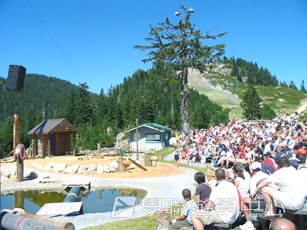 溫哥華英語文化交流營,學聯遊學團