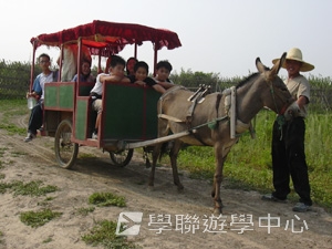 上海大學多元智能<br>普通話夏令營,學聯遊學團