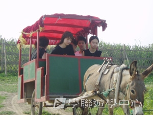 上海大學多元智能<br>普通話夏令營,學聯遊學團
