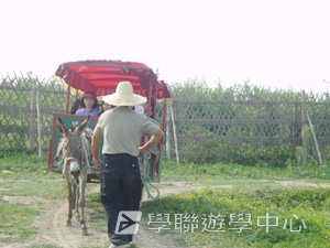 上海大學多元智能<br>普通話夏令營,學聯遊學團
