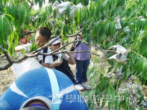 上海大學多元智能<br>普通話夏令營,學聯遊學團