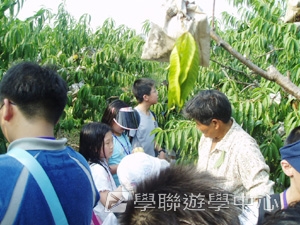 上海大學多元智能<br>普通話夏令營,學聯遊學團