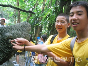 北京師範大學附屬中學,學聯遊學團