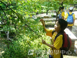 東莞 - 我的第一次夏令營,學聯遊學團