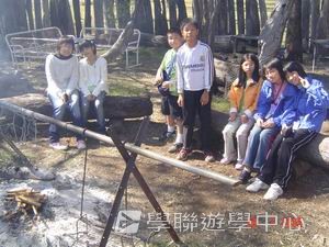 布里斯本名校遊學假期,學聯遊學團