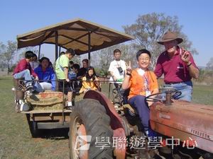 布里斯本名校遊學假期,學聯遊學團