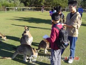 布里斯本名校遊學假期,學聯遊學團