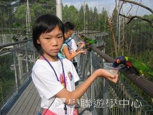 中西文化交流營,學聯遊學團