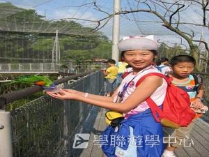 中西文化交流營,學聯遊學團