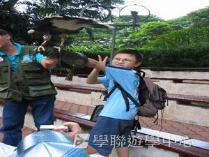 中西文化交流營,學聯遊學團