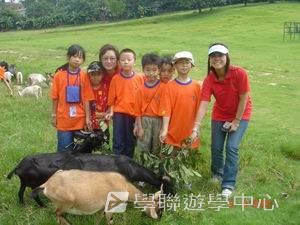 我的第一次夏令營,學聯遊學團