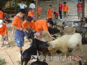 我的第一次夏令營,學聯遊學團