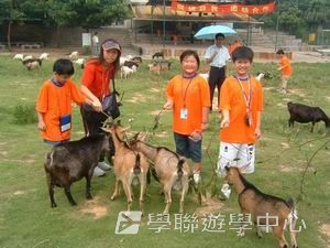 我的第一次夏令營,學聯遊學團