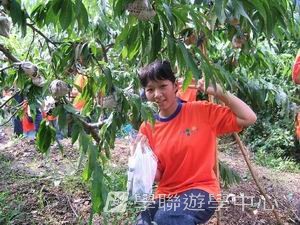 上海多元智能夏令營,學聯遊學團