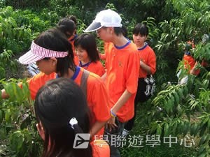 上海多元智能夏令營,學聯遊學團