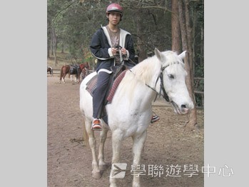 昆士蘭遊學 + 農莊生活體驗假期 ,學聯遊學團