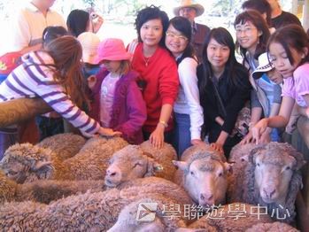 昆士蘭遊學 + 農莊生活體驗假期 ,學聯遊學團