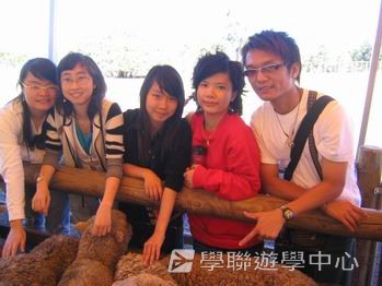 昆士蘭遊學 + 農莊生活體驗假期 ,學聯遊學團