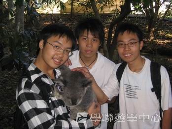 昆士蘭遊學 + 農莊生活體驗假期 ,學聯遊學團