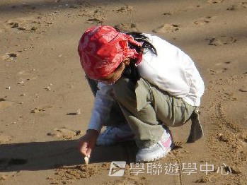 布里斯本名校遊學假期,學聯遊學團