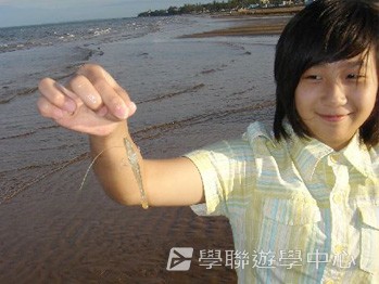 布里斯本名校遊學假期,學聯遊學團