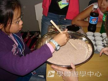 布里斯本名校遊學假期,學聯遊學團