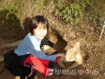 布里斯本名校遊學假期,學聯遊學團