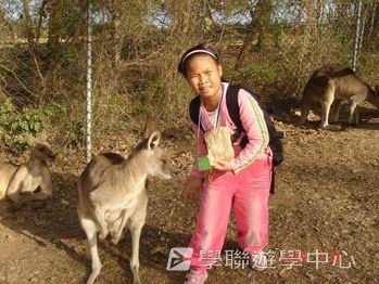 布里斯本名校遊學假期,學聯遊學團