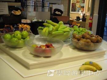 卑斯省英語文化交流營 ,學聯遊學團