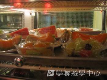 卑斯省英語文化交流營 ,學聯遊學團