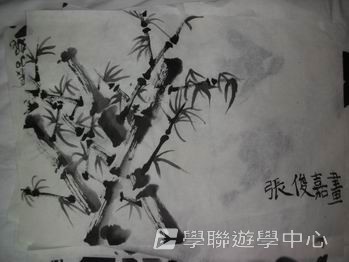 廣州黃村訓練基地 -- 奧運小健將體育夏令營,學聯遊學團