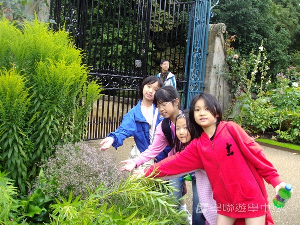 繽FUN遊學生活體驗之旅 ,學聯遊學團