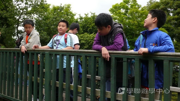 多元趣味英語體驗營 ,學聯遊學團