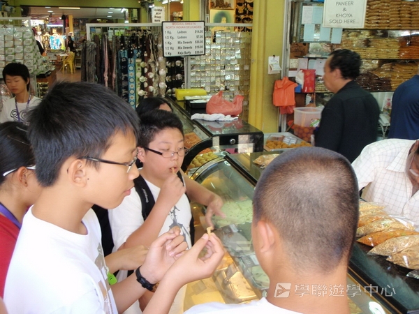 新加坡小小企業家興趣之旅,學聯遊學團