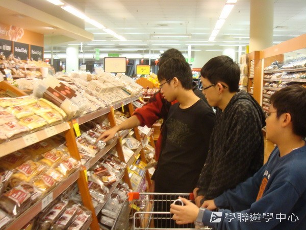 悉尼都會文化體驗遊學假期,學聯遊學團
