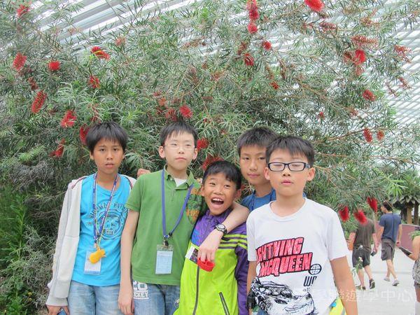 新加坡小領袖訓練學習之旅,學聯遊學團