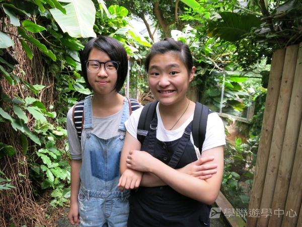 英式生活體驗營,學聯遊學團