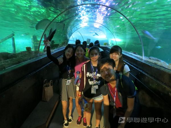 倫敦殿堂學府體驗之旅,學聯遊學團