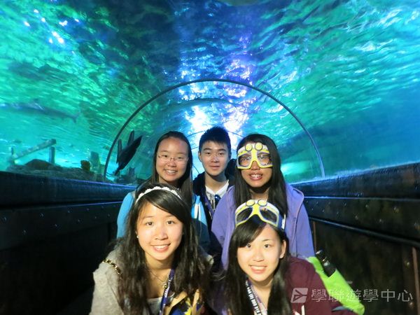 倫敦殿堂學府體驗之旅,學聯遊學團