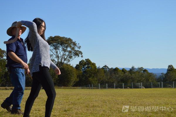 悉尼都會文化體驗遊學假期,學聯遊學團