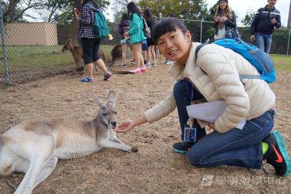 澳洲東岸體驗假期,學聯遊學團