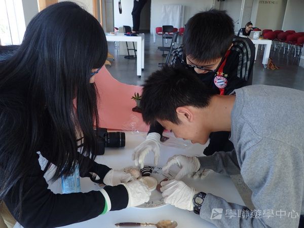 悉尼都會文化體驗遊學假期,學聯遊學團