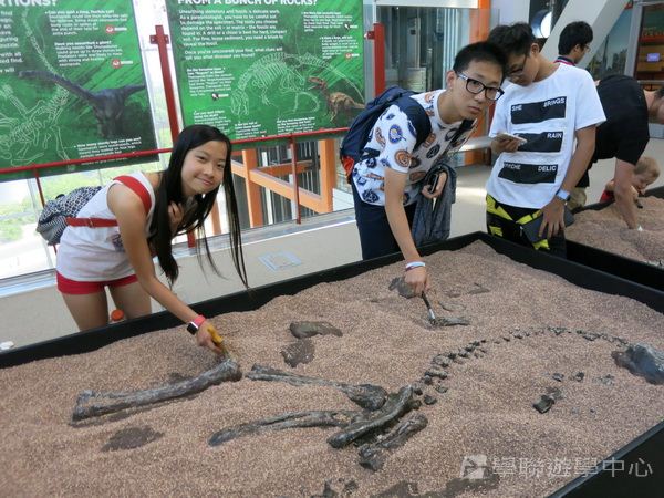 耶魯大學名校文化探索營,學聯遊學團