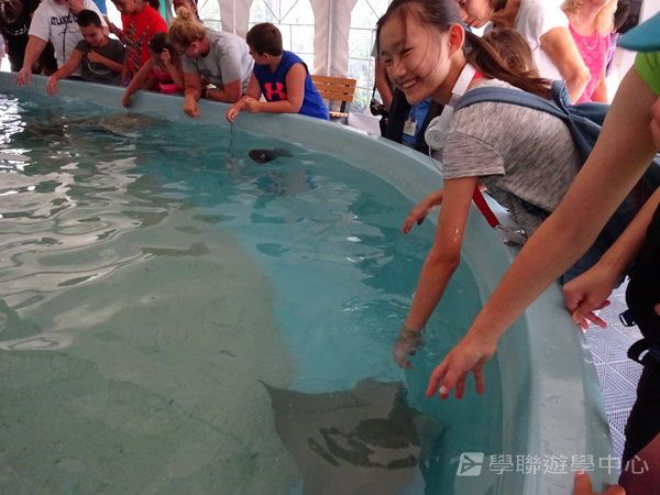 耶魯大學名校文化探索營 ,學聯遊學團