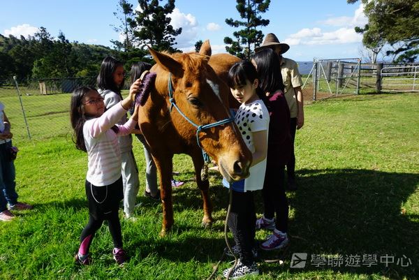 黃金海岸金色遊學假期,學聯遊學團