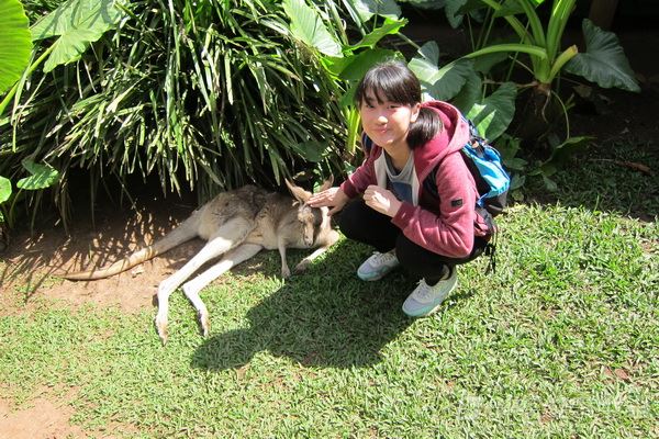 開恩茲友儕學習交流,學聯遊學團