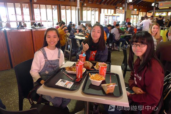 悉尼都會文化體驗遊學假期,學聯遊學團